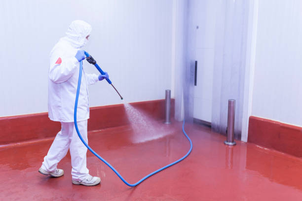 Best Commercial Pressure Washing in Dayton, MN