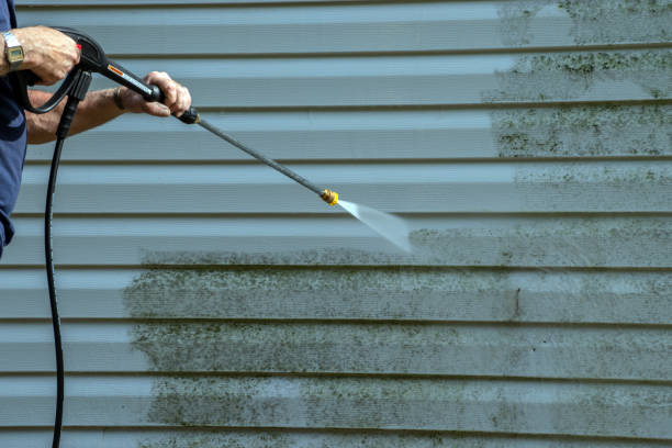 Best Gutter Cleaning and Brightening in Dayton, MN